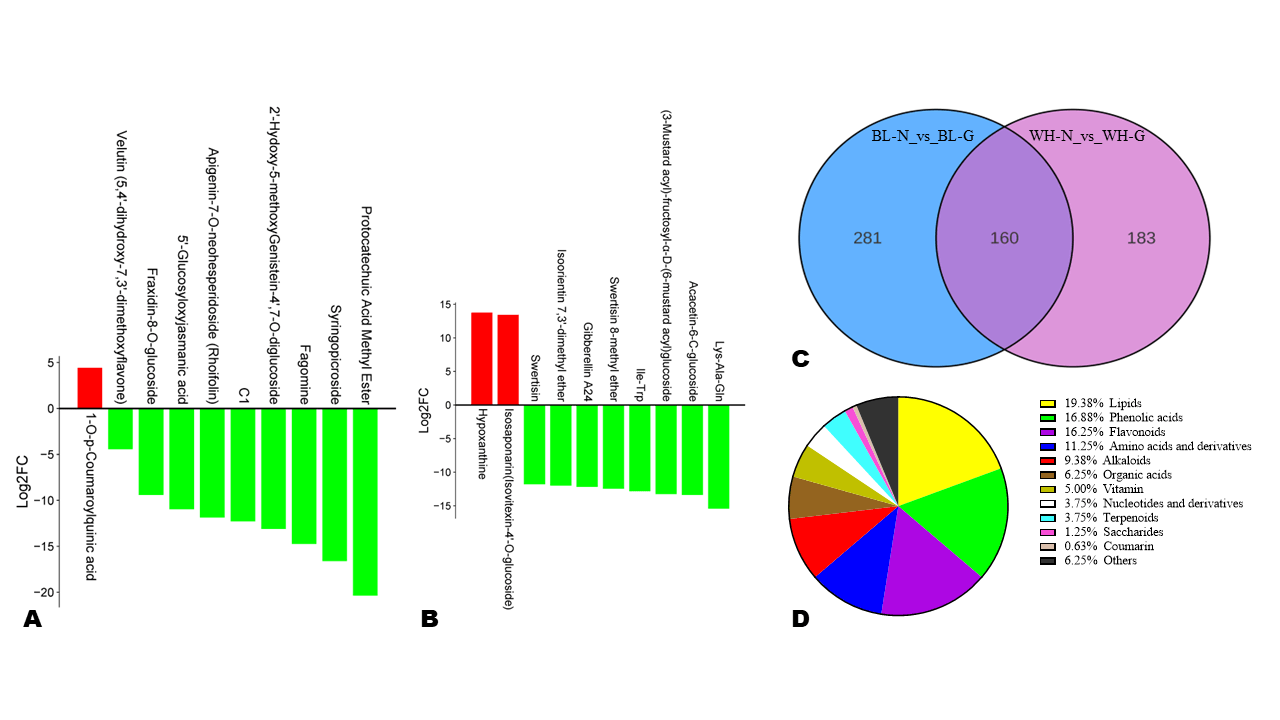 Top and key overlapped differentially accumulated metabolites between between common and glutinous rice